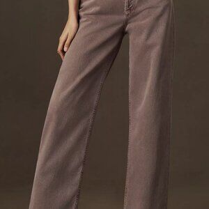 NWOT AGOLDE Ren High-Rise Wide-Leg Jeans Sz 28